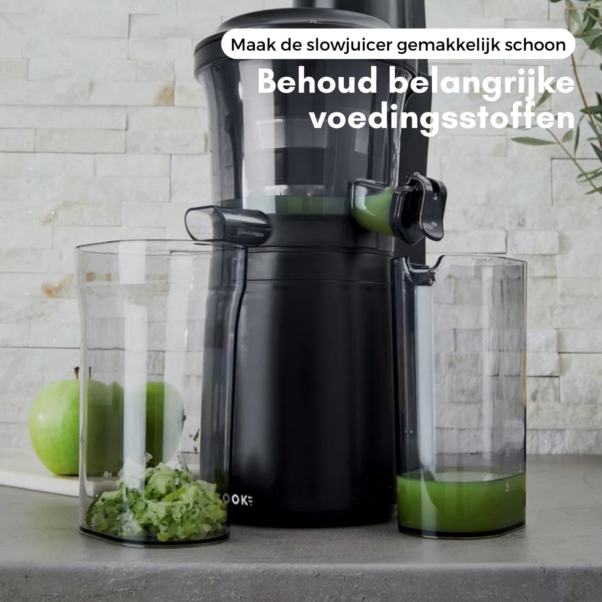 Slowjuicer - Anti Drup - 700ML - Juicer voor Fruit, Harde Groentes en Sorbets