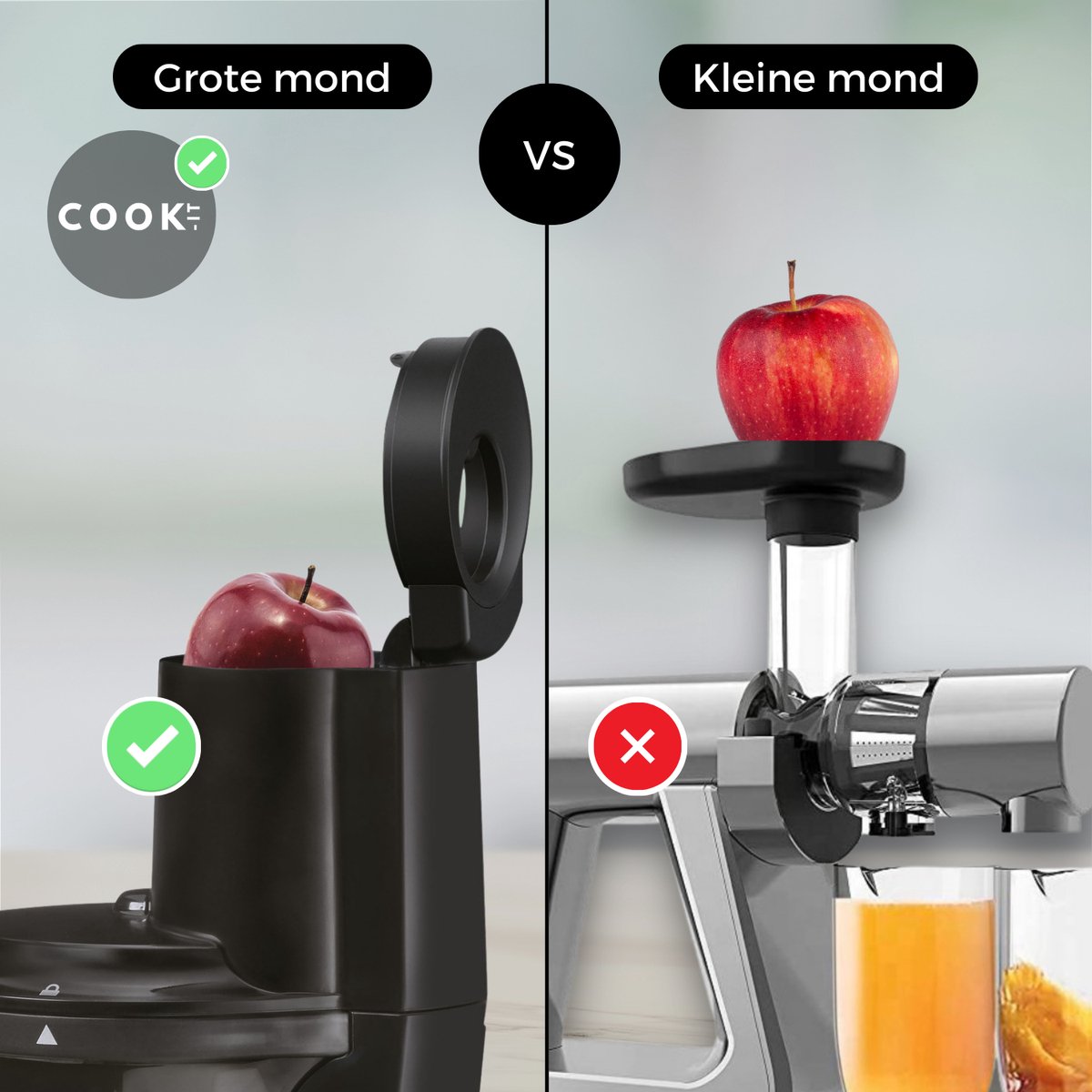 Slowjuicer - Anti Drup - 700ML - Juicer voor Fruit, Harde Groentes en Sorbets